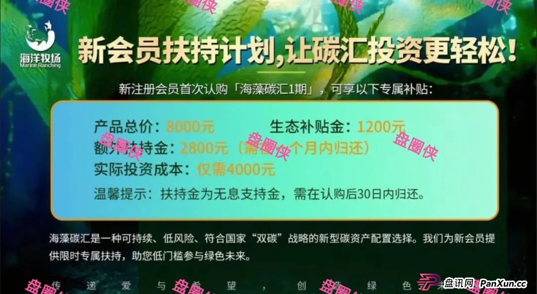 9月23日曝光：最新资金盘骗局《海洋牧场，ARK，olga欧嘉，e充电，CFXH-DAO》随时可能卷钱跑路(2)