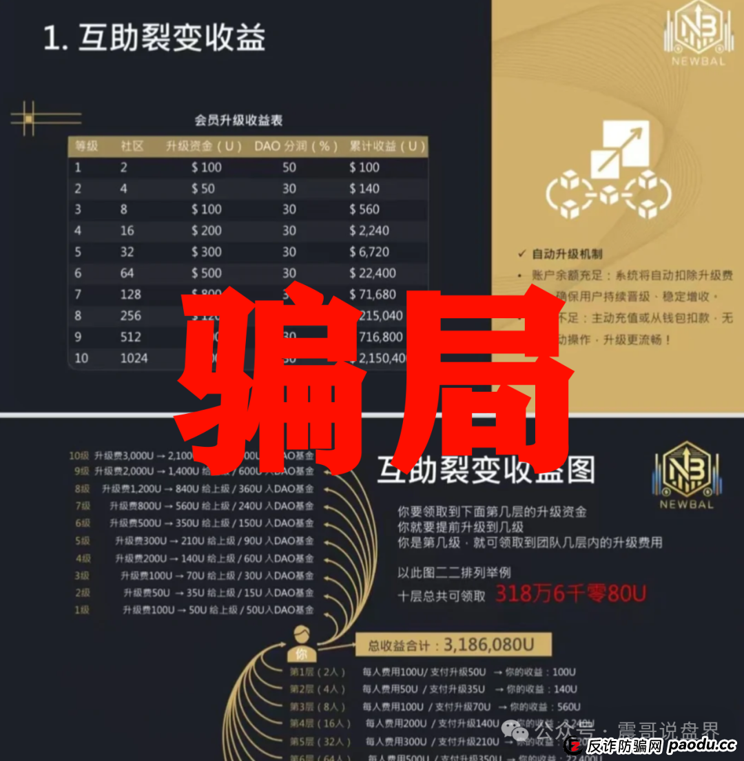 念宝全球是资金盘骗局，高度警惕谨防被骗(2)