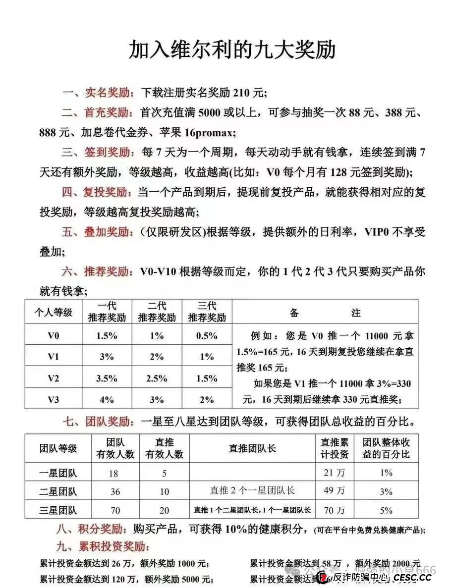 高度预警！“香港维尔利”杀猪盘全面崩盘实录：缅北遥控、专割中老年、圈钱
