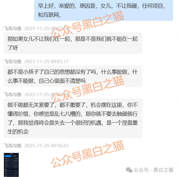 资金盘｜电诈团伙伪冒“TCV资本”，通过话术精准诱惑孤单女性投资，被围猎者还飘飘欲仙......(5)
