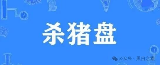 资金盘｜电诈团伙伪冒“TCV资本”，通过话术精准诱惑孤单女性投资，被围猎者还飘飘欲仙......(1)