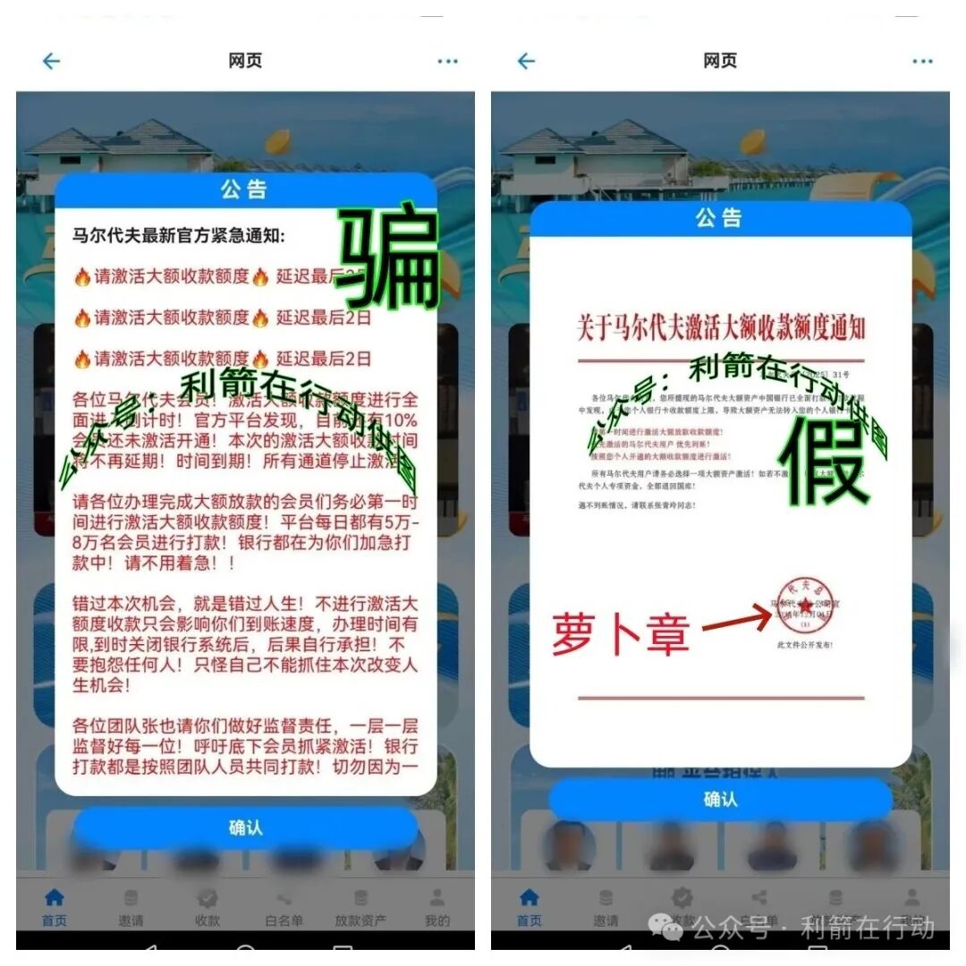 警惕！“云数贸”马尔代夫项目多年来反复收割中老年人！(4)