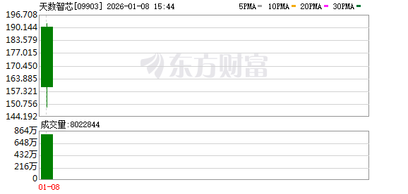 上海又一GPU“四小龙”上市 集成电路第一城规模超4600亿(1)
