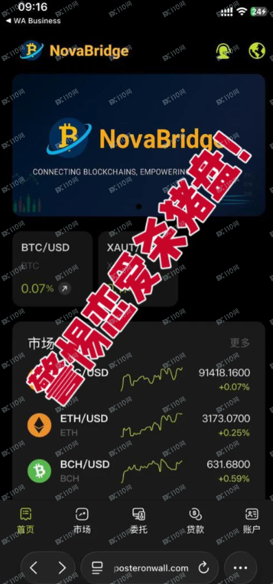 曝光NovaBridge虚假交易所恋爱杀猪盘(1)