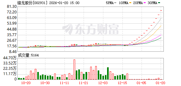 追平2025年纪录！市场再现“15连板”股 近年高标热股扫描 这些方向占比较高(1)